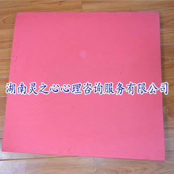 宣泄室圖片/宣泄室樣板圖 (3)