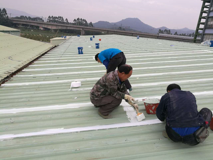 深圳市龙华卫生间防水装饰工程-石岩防水装饰工程-松岗卫生间防水工程图片