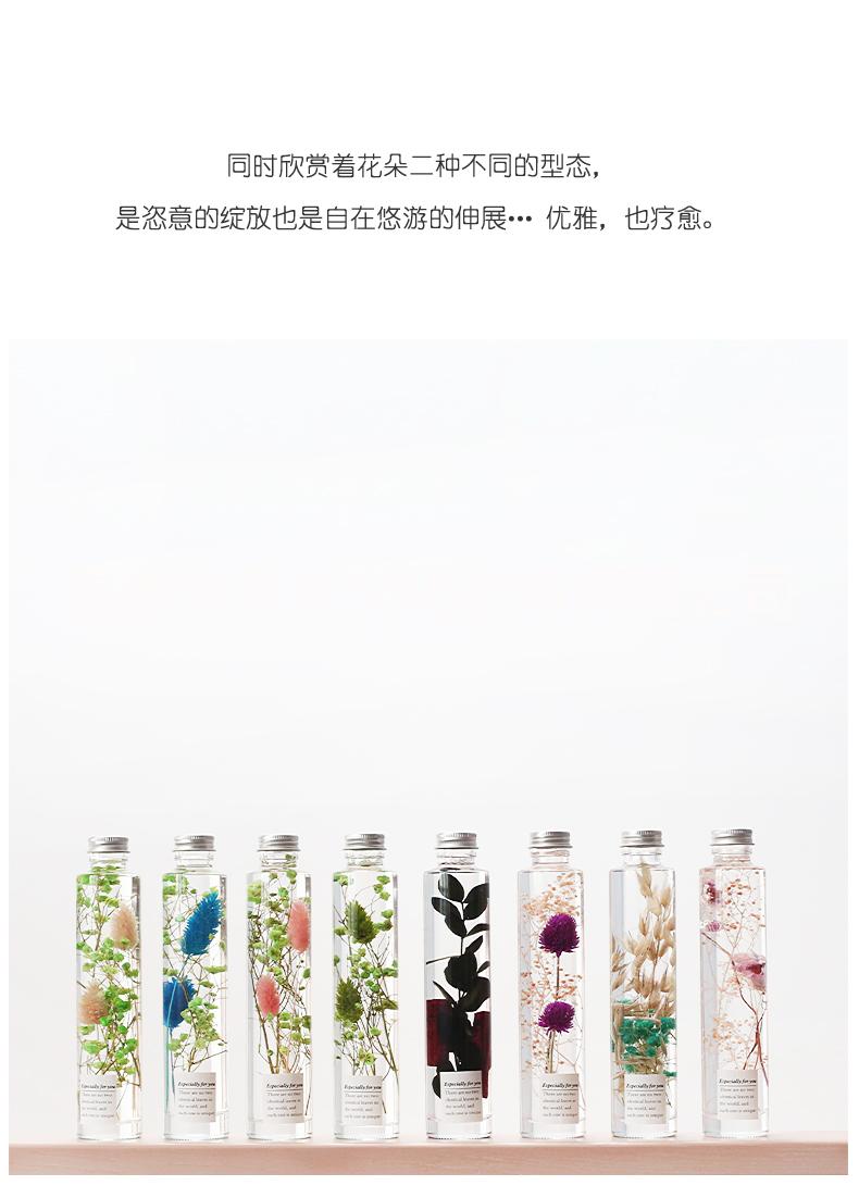 永生花圖片/永生花樣板圖 (2)
