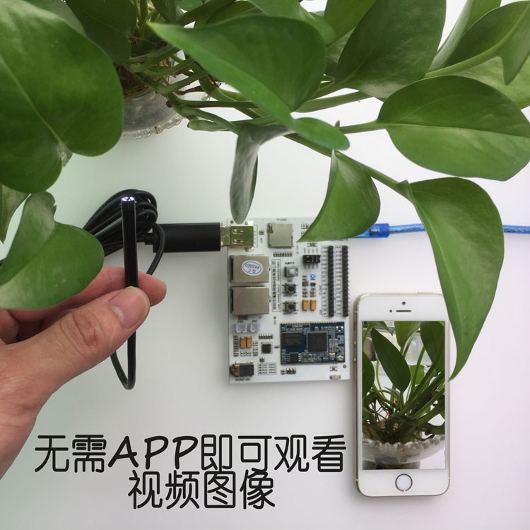 WiFi内窥镜模组 智能WiFi摄像 视频图传模块 RT5350升级版