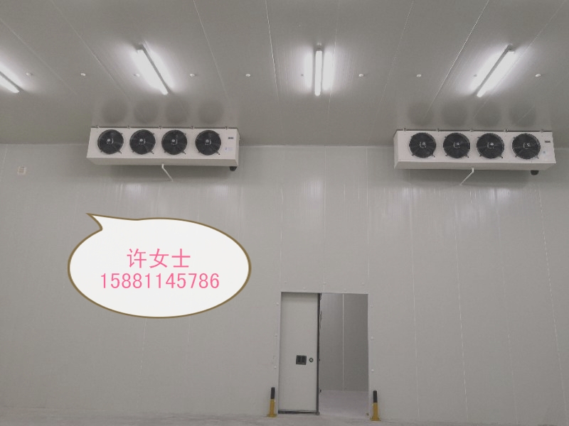 遂寧食品冷庫(kù) 檸檬冷藏 肉類冷凍 免費(fèi)咨詢熱線：15881145786