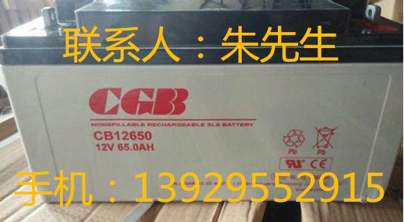 CGB蓄电池CB12650 12V65.0A免维护电池 长光蓄电池12v65a直流屏UPS电源