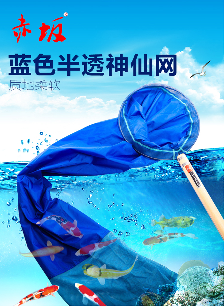 赤坂錦鯉半透錦鯉漁撈 漁網 魚網圖片