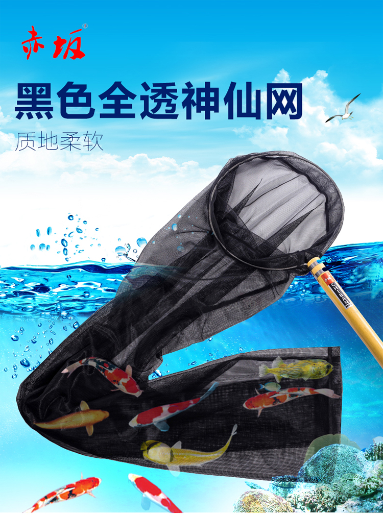 赤坂錦鯉全透錦鯉漁撈 漁網(wǎng) 魚網(wǎng)圖片