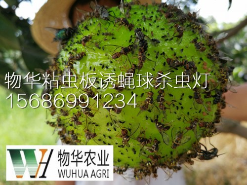 殺蟲圖片/殺蟲樣板圖 (2)