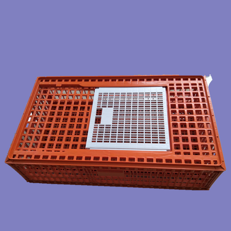 成雞運(yùn)輸籠圖片/成雞運(yùn)輸籠樣板圖 (1)