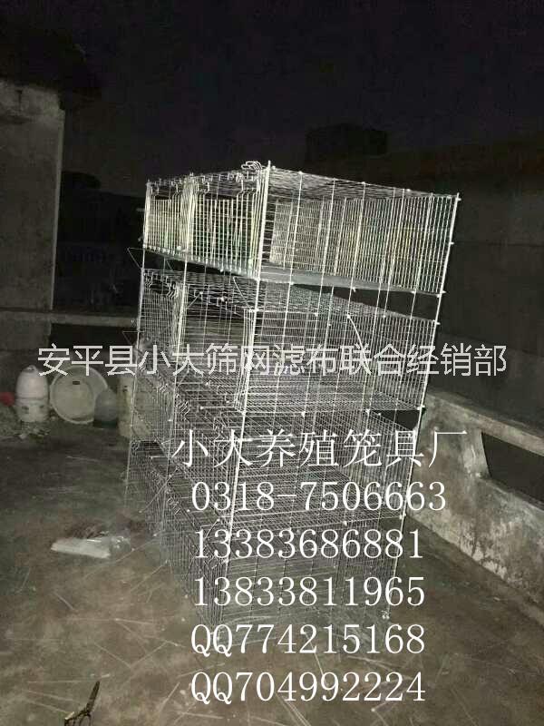 出售鴿子籠 兔子籠 鵪鶉籠圖片/出售鴿子籠 兔子籠 鵪鶉籠樣板圖 (3)