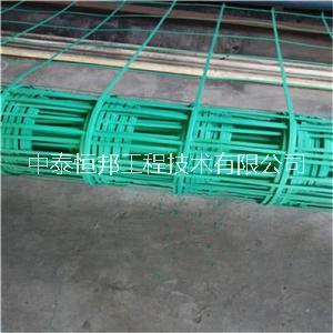 塑料焊接土工格柵強(qiáng)度高質(zhì)量保證圖片