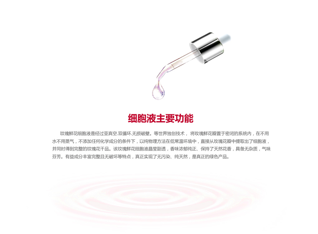 玫瑰保濕圖片/玫瑰保濕樣板圖 (2)