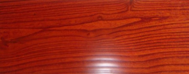 榆木圖片/榆木樣板圖 (2)