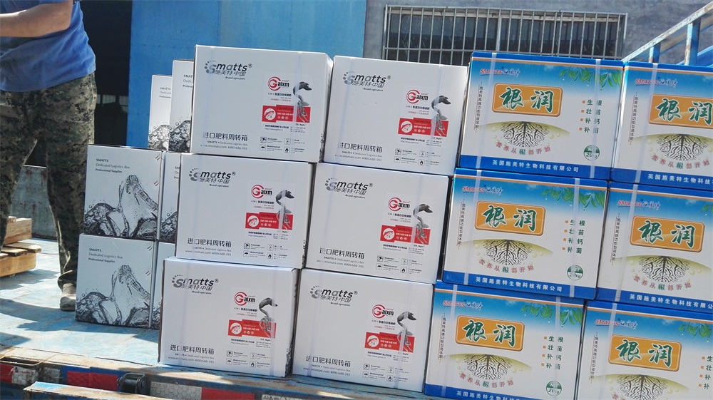 萊西圖片/萊西樣板圖 (4)