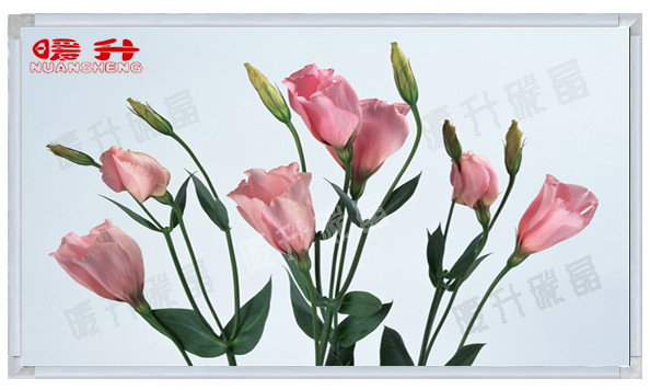 碳晶墻暖圖片/碳晶墻暖樣板圖 (2)