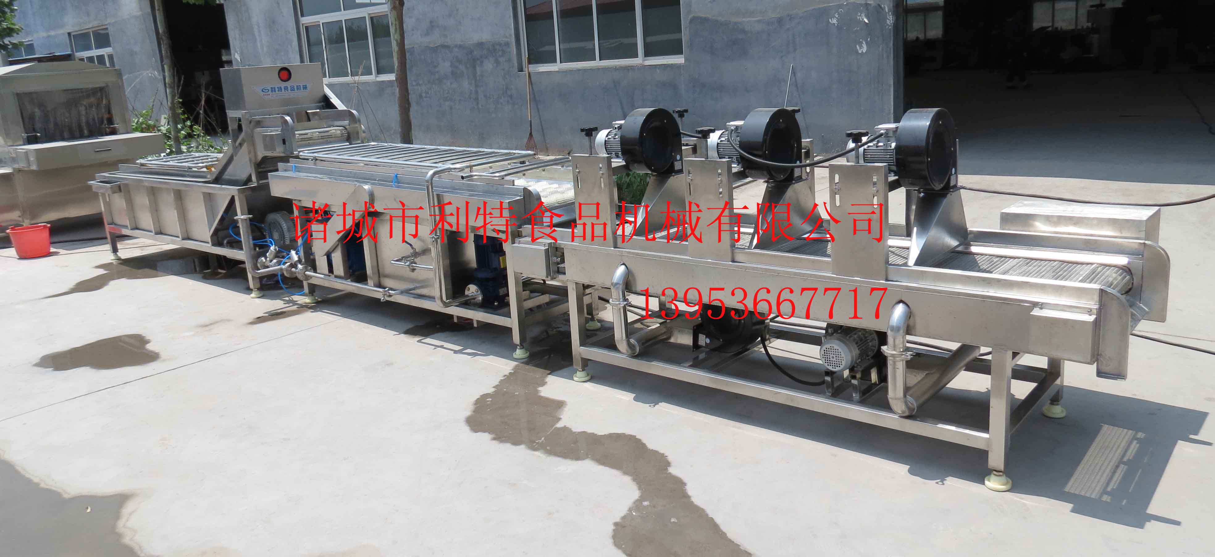 黃瓜圖片/黃瓜樣板圖 (3)