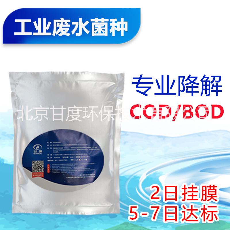 甘度工業(yè)污水處理菌COD去*劑 污水處理菌 復(fù)合菌種 微生物水處理菌