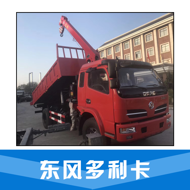 東風(fēng)多利卡圖片/東風(fēng)多利卡樣板圖 (2)