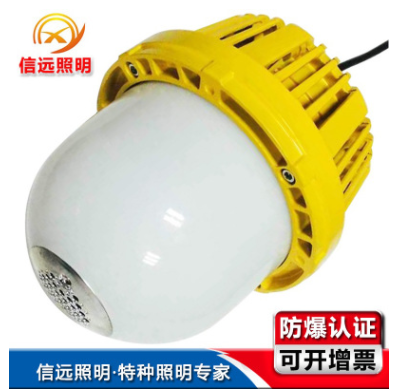 LED防爆燈圖片/LED防爆燈樣板圖 (1)