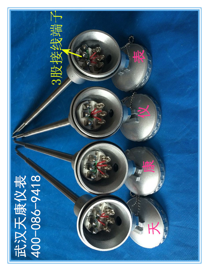 多點(diǎn)熱電偶圖片/多點(diǎn)熱電偶樣板圖 (4)