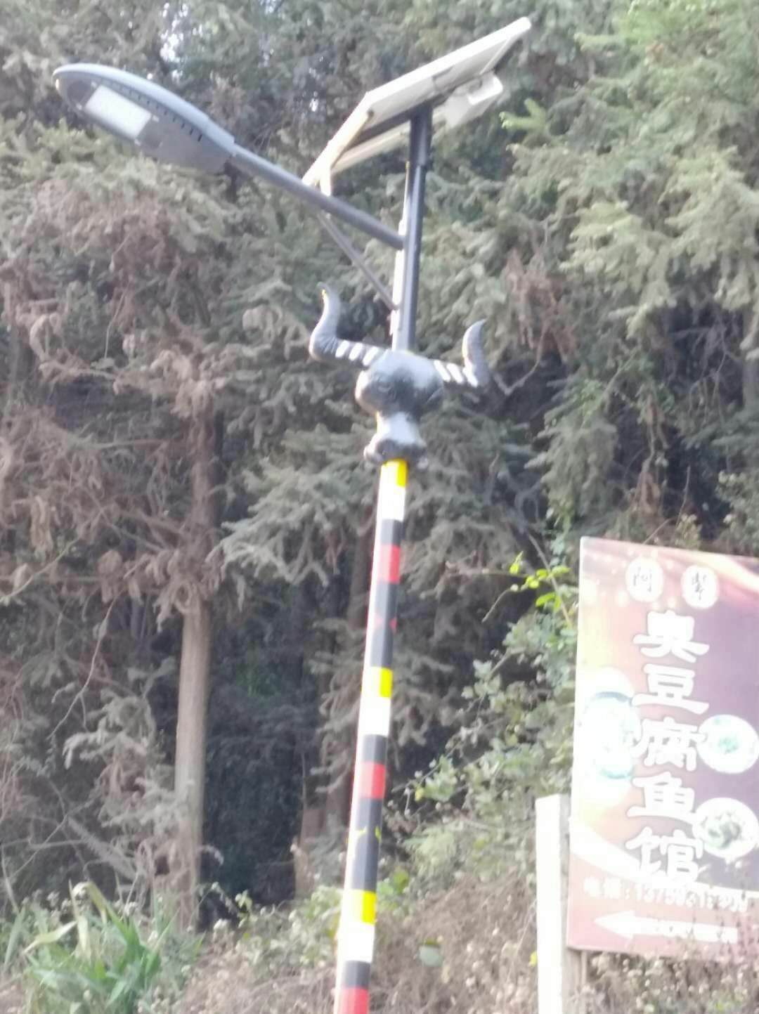 太陽能路燈圖片/太陽能路燈樣板圖 (4)