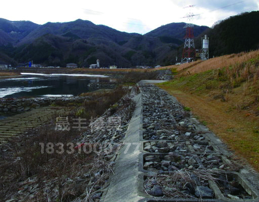 保定晟豐階梯式護(hù)坡圖片