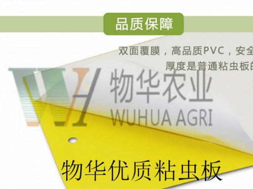 黃色粘蟲板圖片/黃色粘蟲板樣板圖 (3)