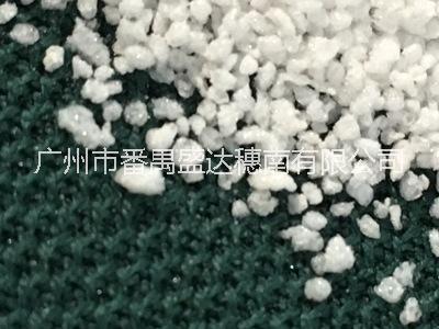 珍珠巖圖片/珍珠巖樣板圖 (3)