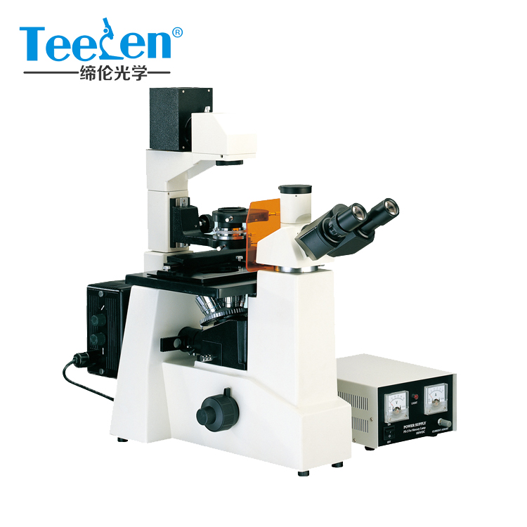 熒光顯微鏡圖片/熒光顯微鏡樣板圖 (2)