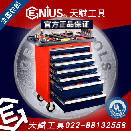 天賦工具MS-266TS圖片