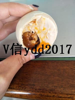 海鴨蛋圖片/海鴨蛋樣板圖 (3)
