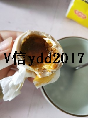 海鴨蛋圖片/海鴨蛋樣板圖 (4)