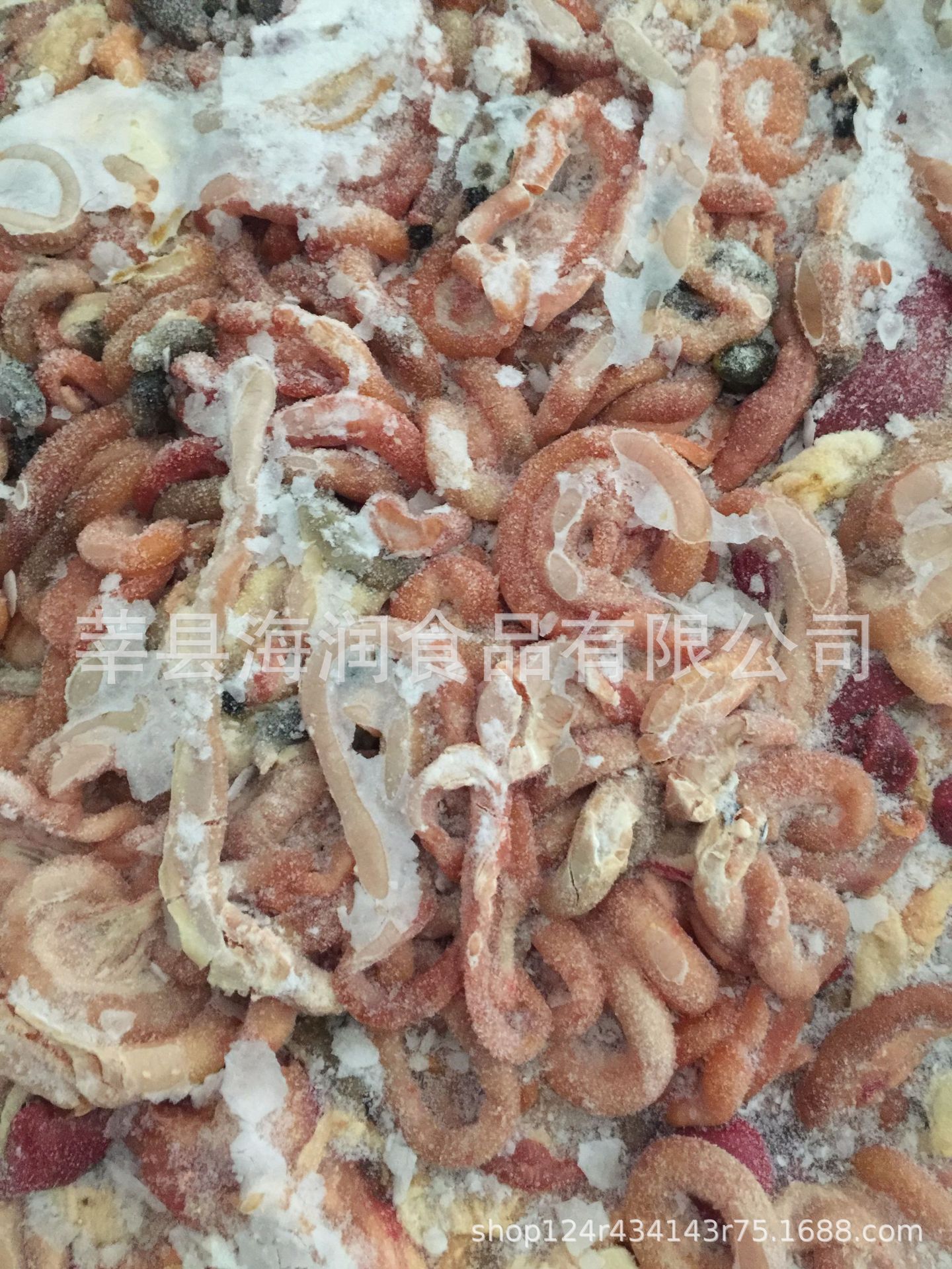 雞腸圖片/雞腸樣板圖 (2)