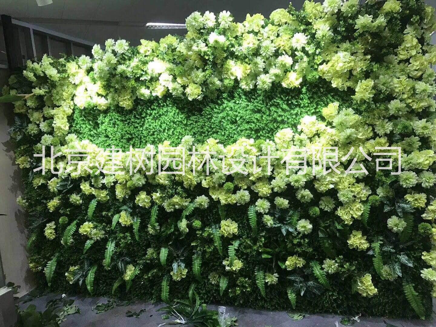 仿真植物圖片/仿真植物樣板圖 (2)