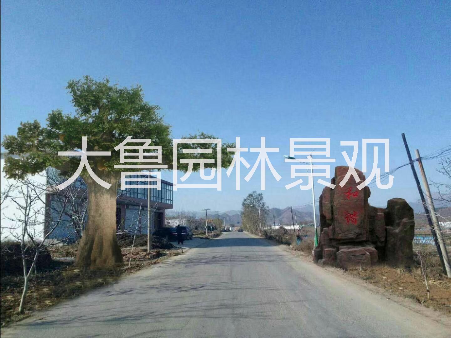 樹大門圖片/樹大門樣板圖 (4)