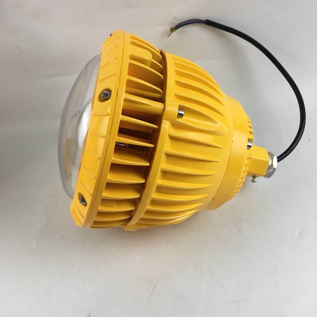 BLD節(jié)能LED防爆投光燈廠家圖片