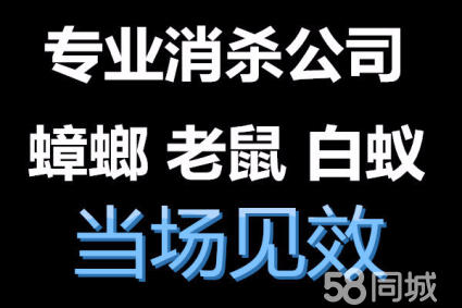 灭鼠公司灭老鼠杀蟑螂白蚁防治服务