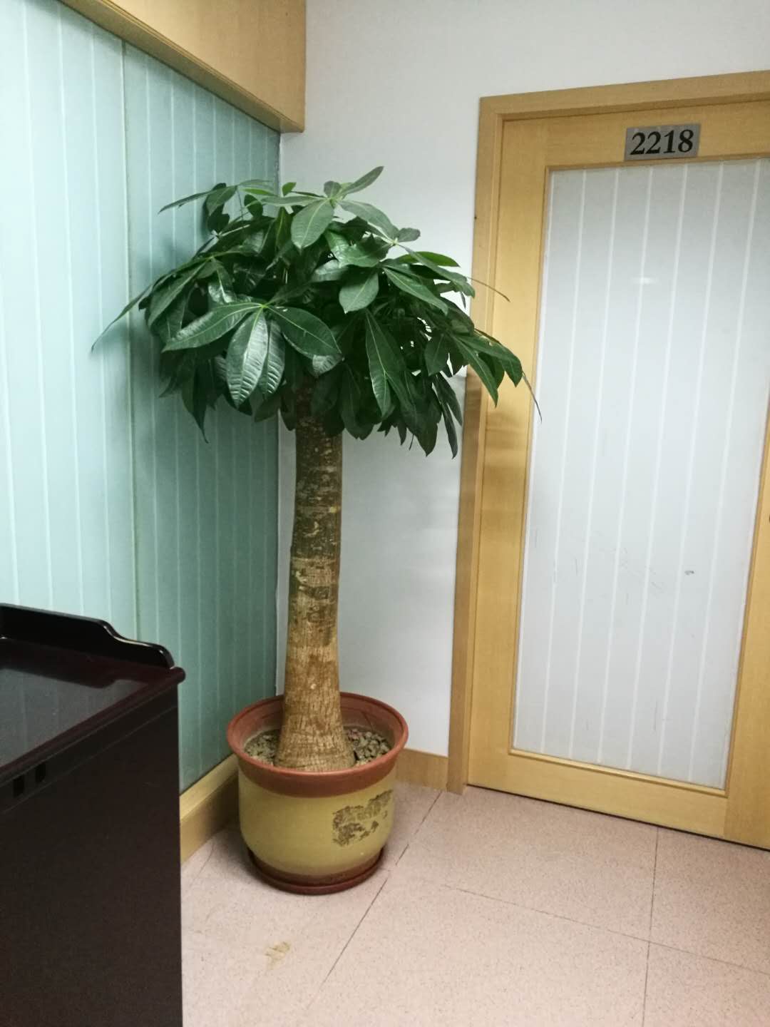 廣州寫字樓圖片/廣州寫字樓樣板圖 (4)