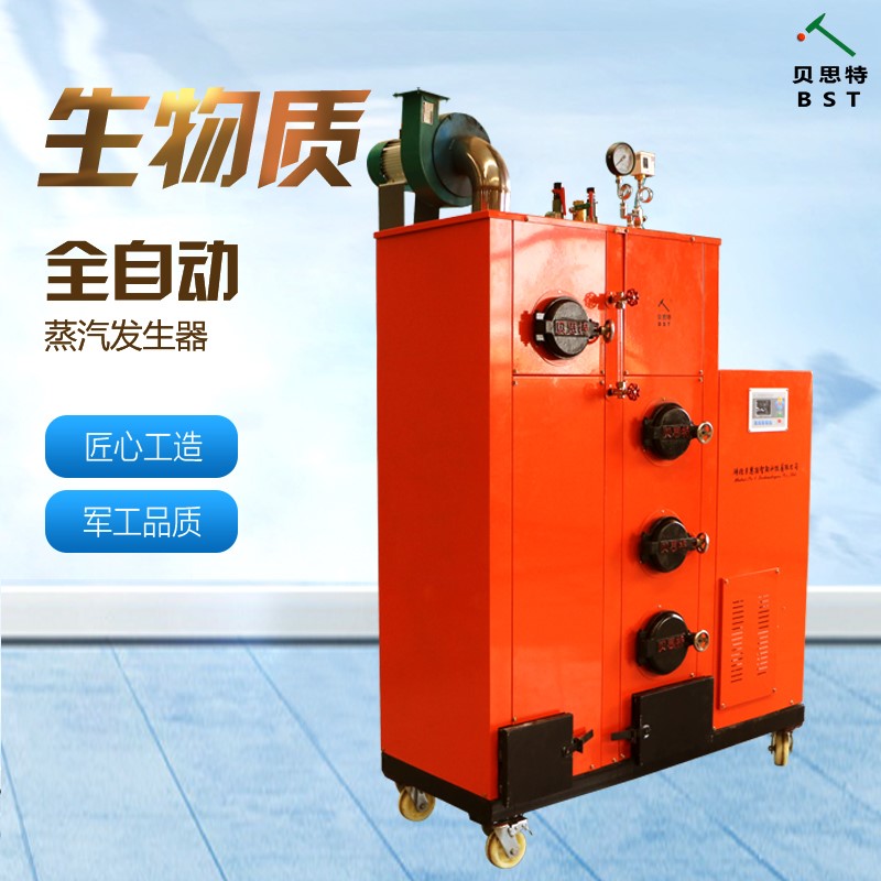 生物質(zhì)蒸汽鍋爐圖片/生物質(zhì)蒸汽鍋爐樣板圖 (2)