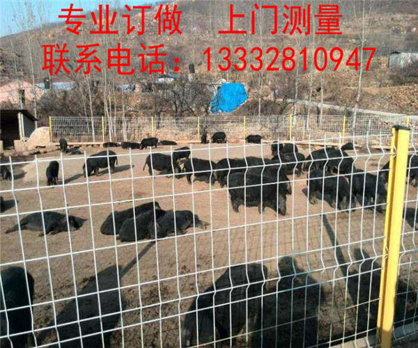 隔離網(wǎng)圖片/隔離網(wǎng)樣板圖 (3)