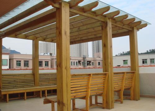 俄羅斯樟子松圖片/俄羅斯樟子松樣板圖 (2)