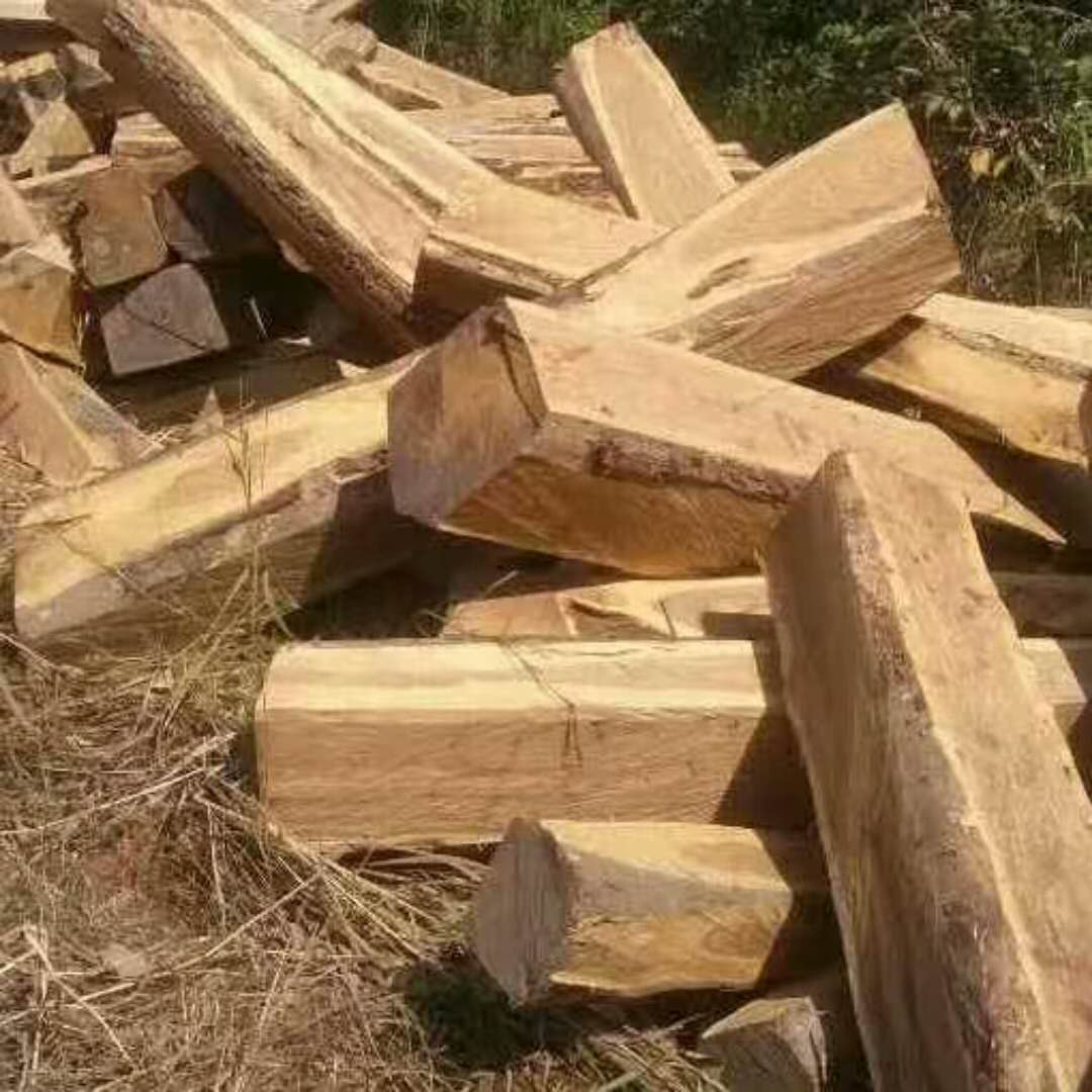 南美原木進口報關圖片/南美原木進口報關樣板圖 (4)