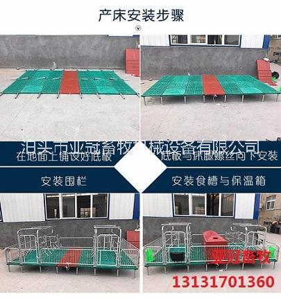 母豬產(chǎn)床圖片/母豬產(chǎn)床樣板圖 (3)