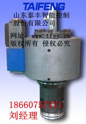 比例節(jié)流閥圖片/比例節(jié)流閥樣板圖 (1)