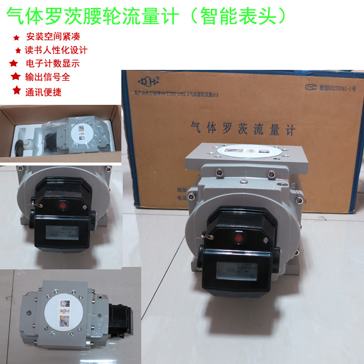 氣體羅茨流量計圖片/氣體羅茨流量計樣板圖 (2)