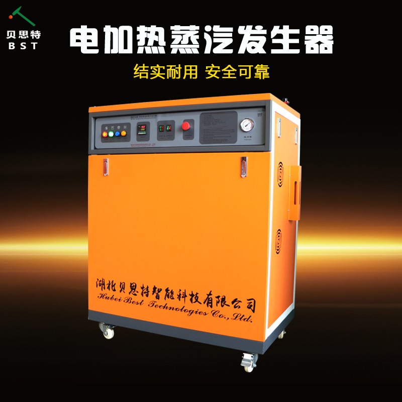 電蒸汽鍋爐圖片/電蒸汽鍋爐樣板圖 (2)