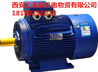 YX3高效節(jié)能三相異步電動機(jī)圖片/YX3高效節(jié)能三相異步電動機(jī)樣板圖 (2)