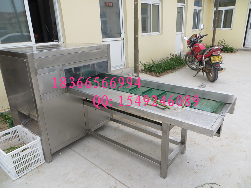 蔬菜切根機(jī)圖片