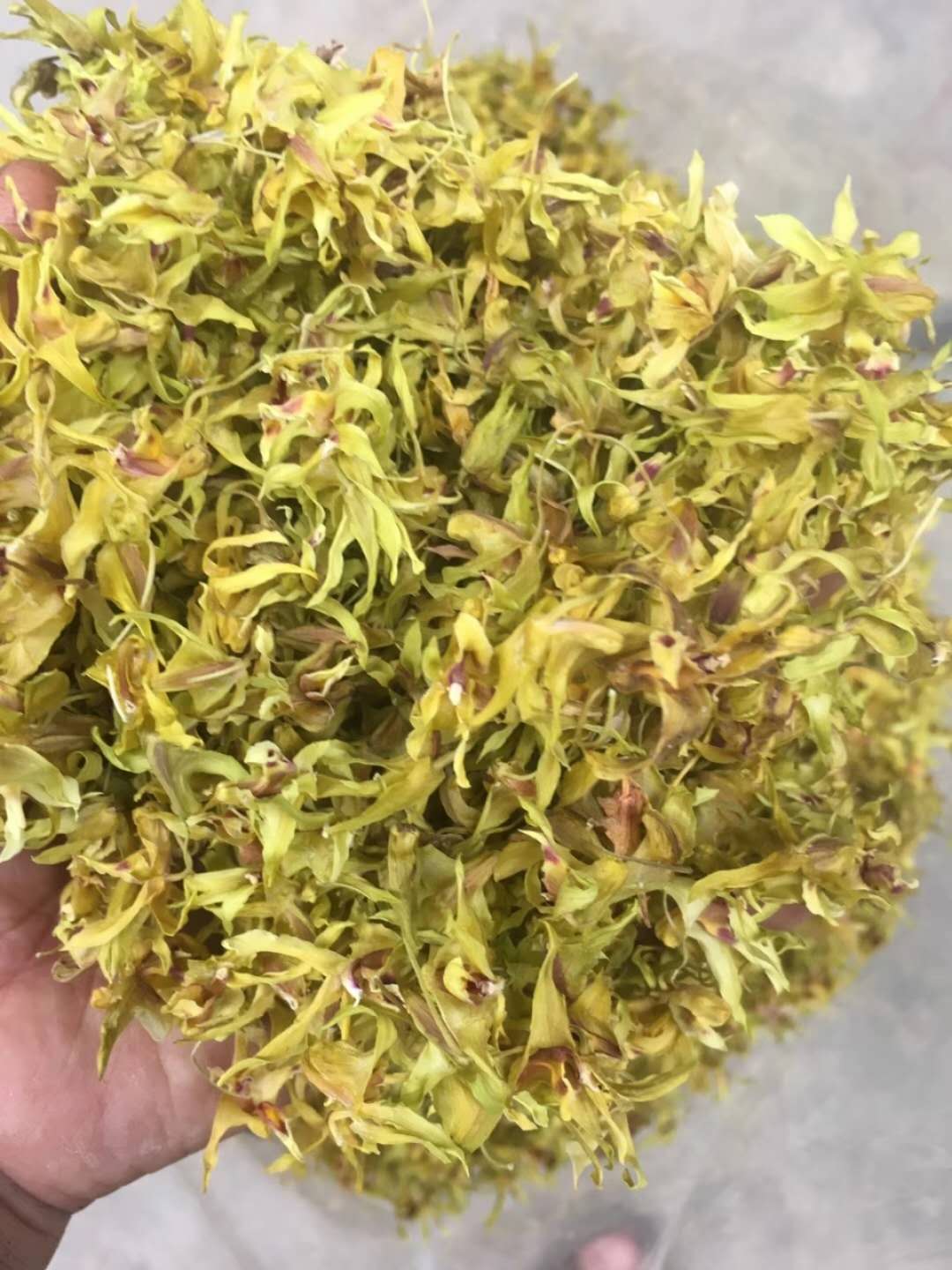 温州市雁荡山铁皮石斛花厂家雁荡山铁皮石斛花原产地品质保证香郁甘甜功效好