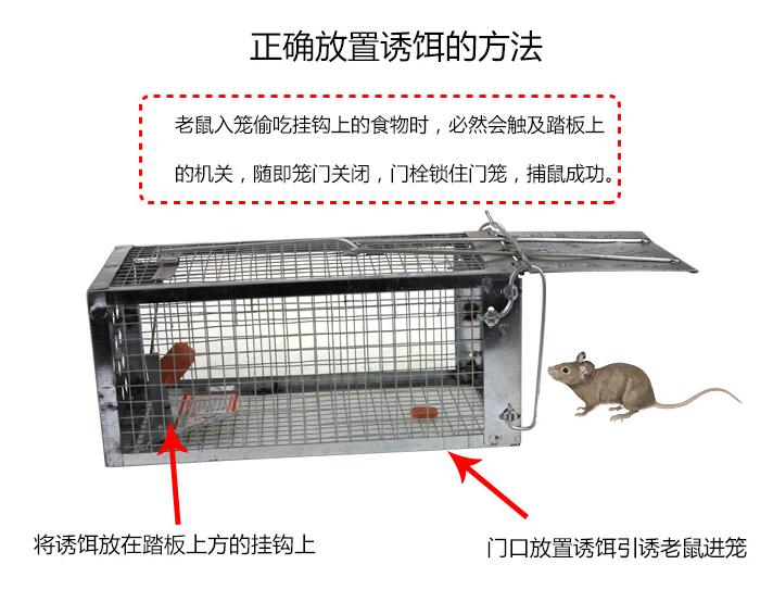 捕鼠籠圖片/捕鼠籠樣板圖 (4)