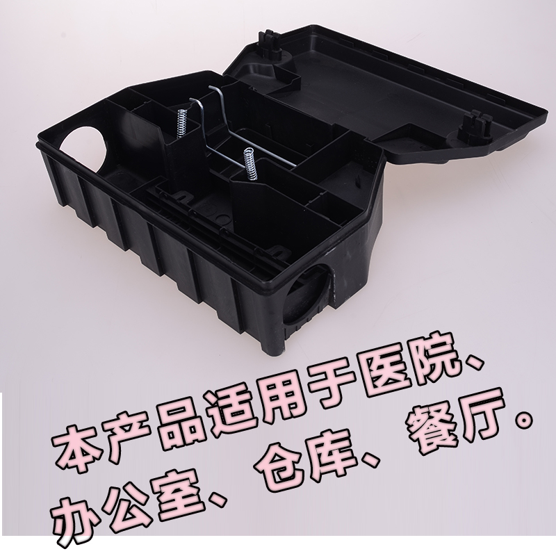 大號(hào)帶圖片/大號(hào)帶樣板圖 (4)