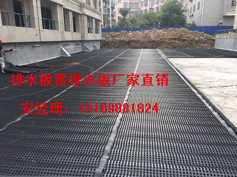 2公分蓄排水板濰坊))濟(jì)南車庫(kù)頂板綠化排水板)環(huán)保節(jié)能