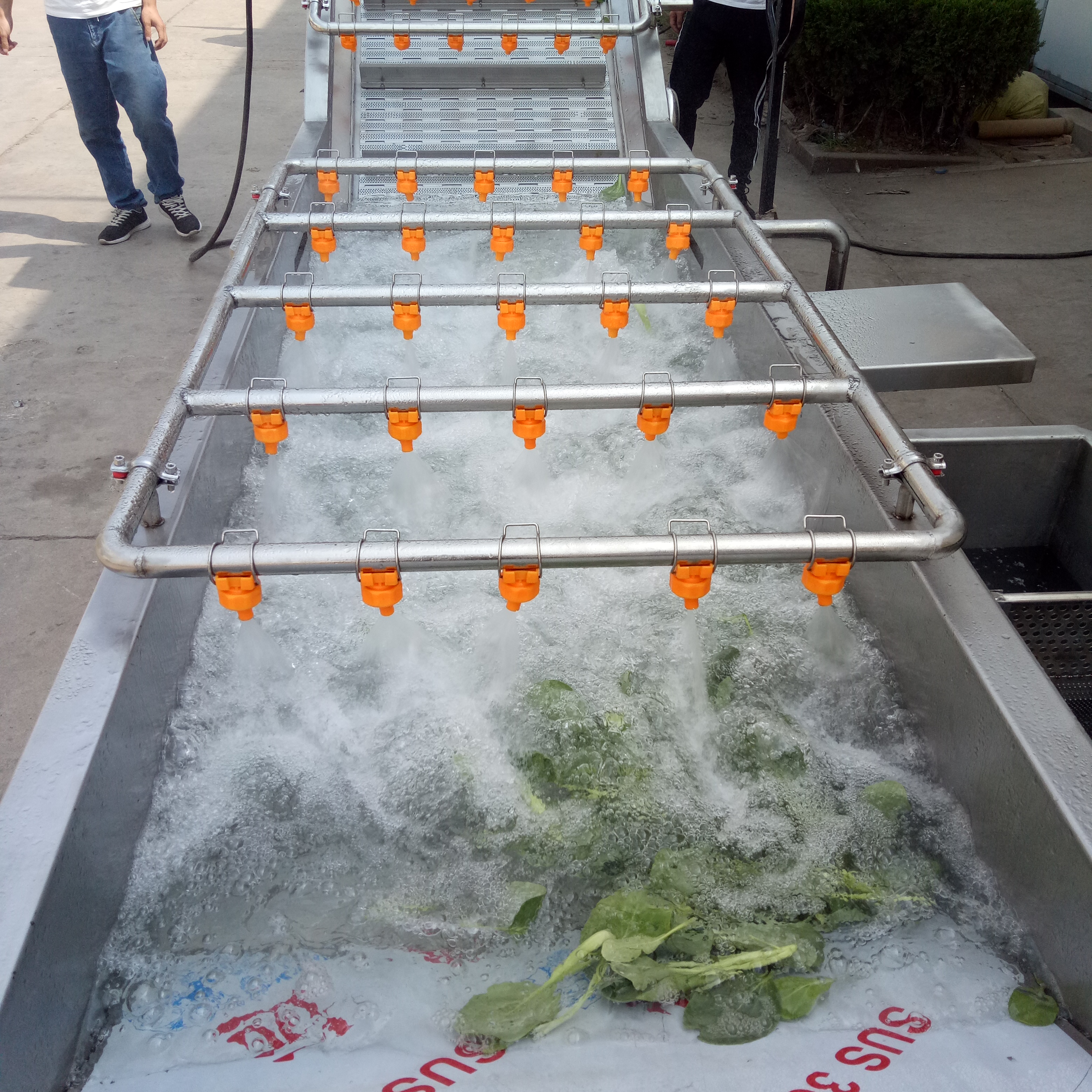 果蔬氣泡清洗機(jī)噴淋設(shè)備 凈菜加工 水果蔬菜氣泡清洗機(jī)噴淋設(shè)備